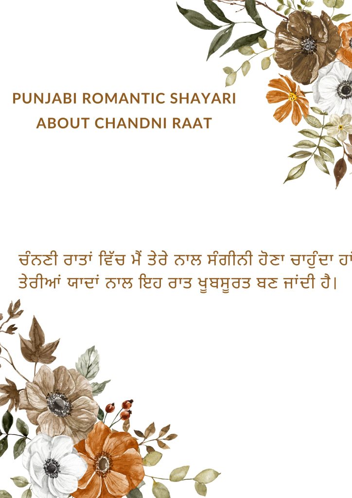 Punjabi Romantic Shayari about Chandni Raat