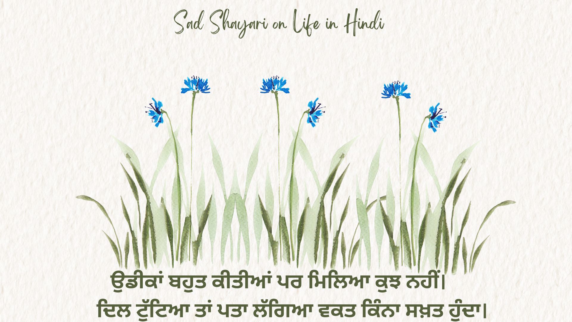Punjabi Sad Shayari on Life in Hindi