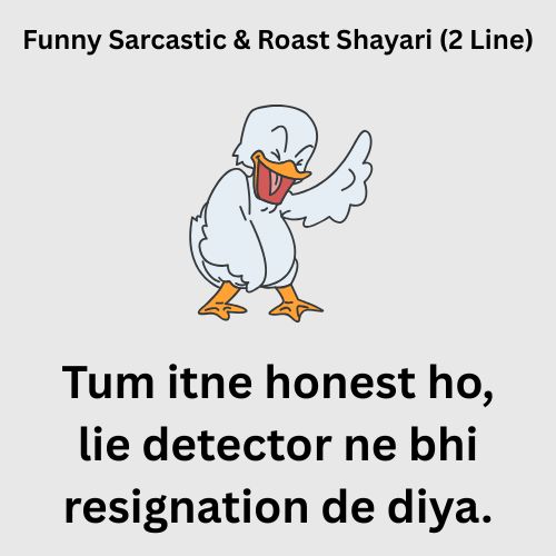 Funny Sarcastic & Roast Shayari (2 Line)