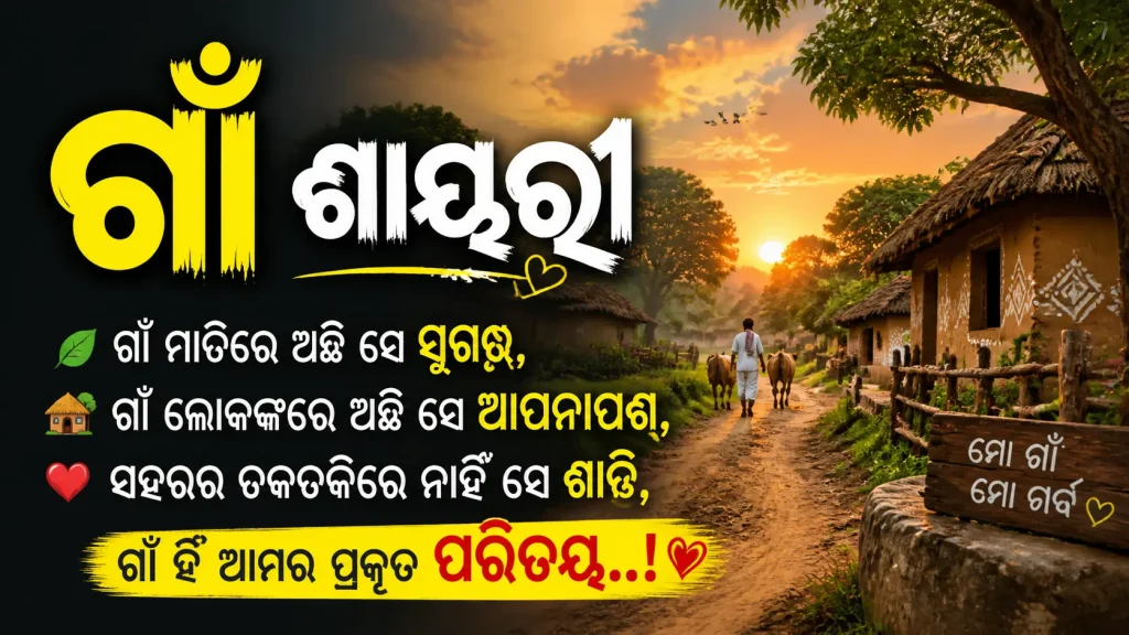 Gaon Shayari in Odia